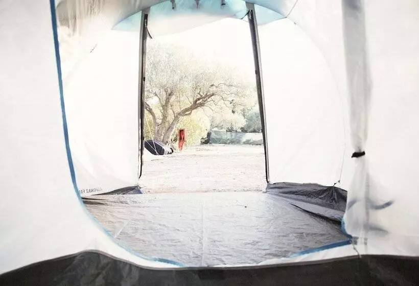 ホテル Camping Ciauli