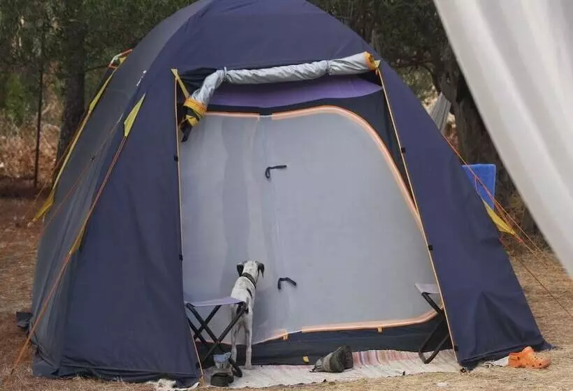 ホテル Camping Ciauli