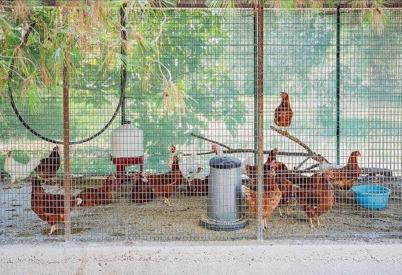 Hotel wiejski Torre Casciani