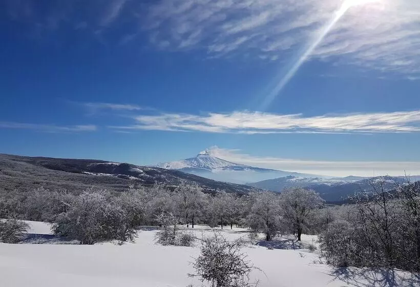 Bed and Breakfast Bluviro