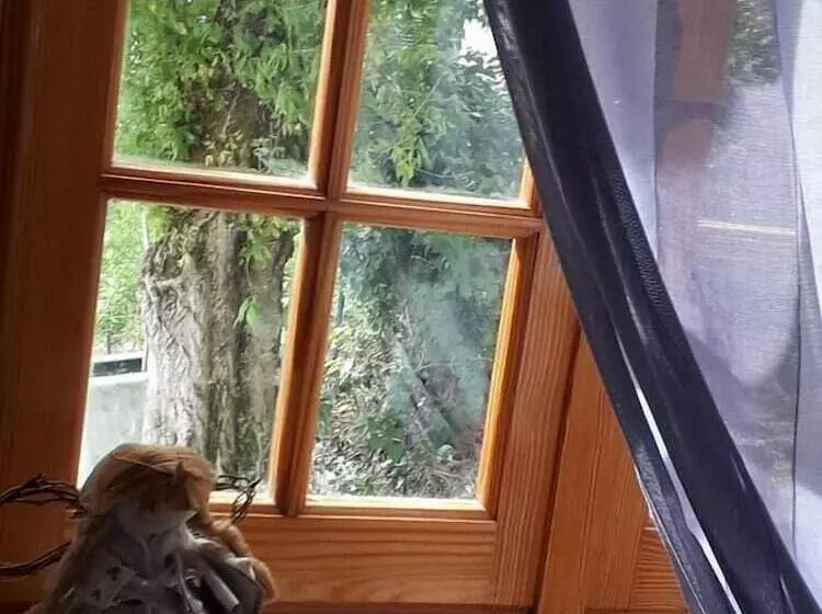 ベッドアンドブレックファースト La Casa Nel Verde