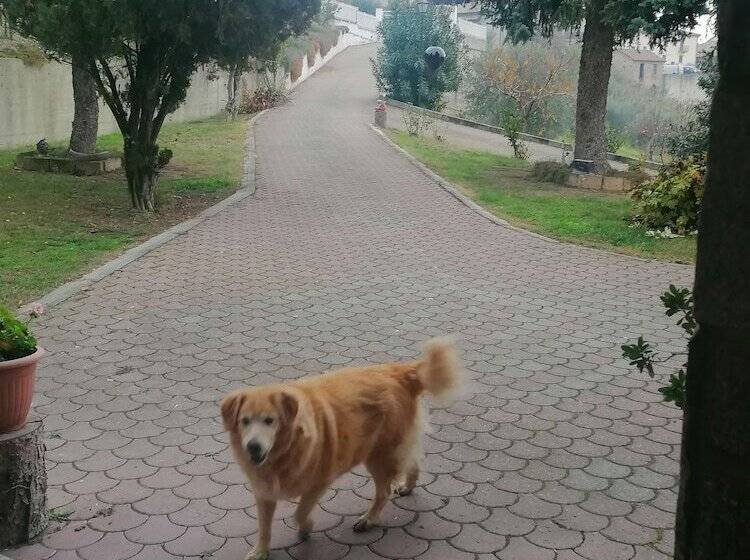 住宿加早餐  La Casa Nel Verde