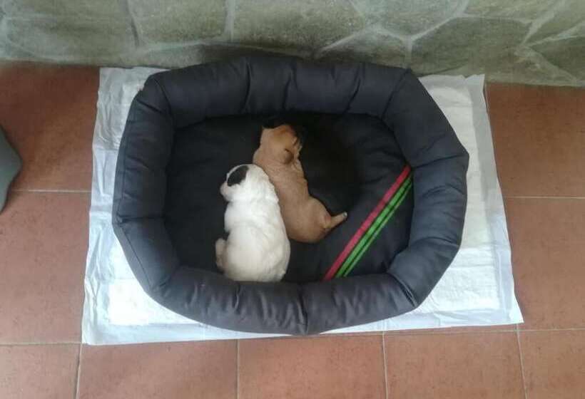 住宿加早餐  La Casa Nel Verde