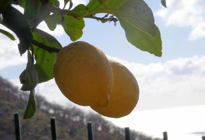 Aamiaismajoitus (B&B) La Casa Dei Limoni