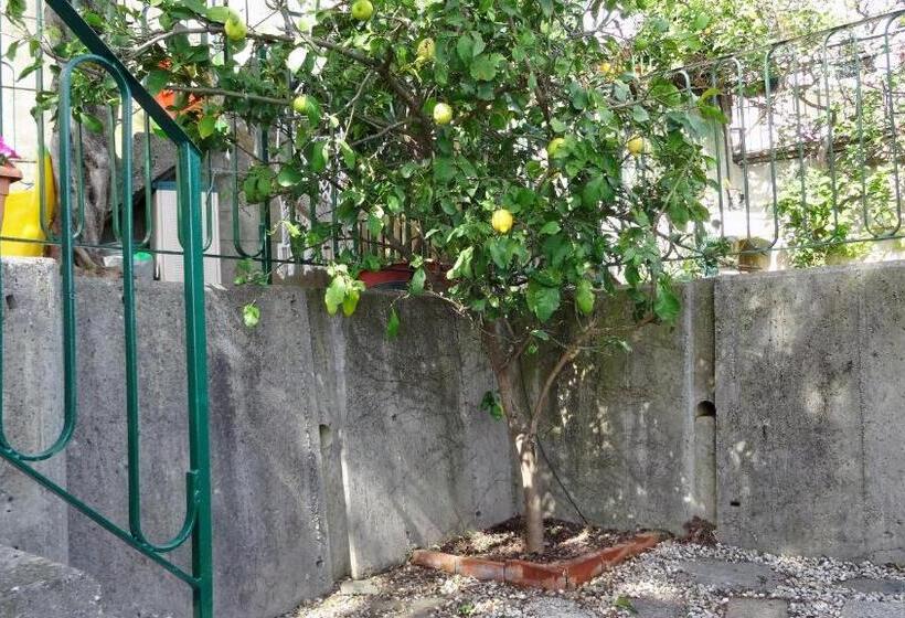 Aamiaismajoitus (B&B) La Casa Dei Limoni