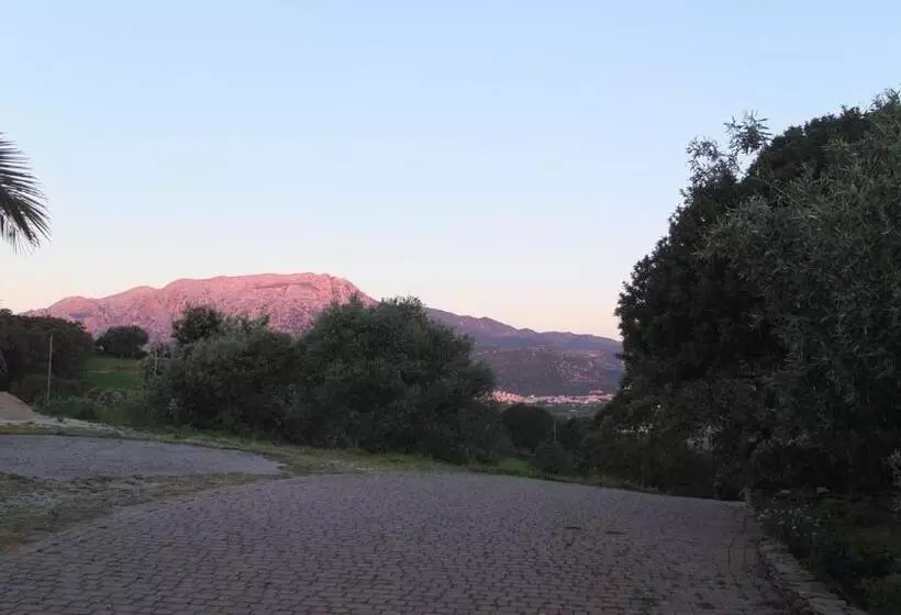 ベッドアンドブレックファースト Suite Cucinino, Bagno, Ingresso Indipendente In Villa Vìvì