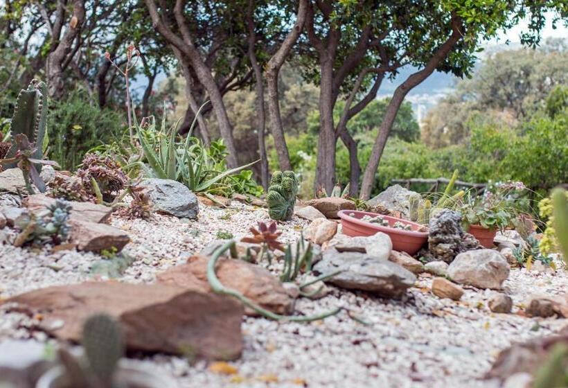 تختخواب و صبحانه Suite Cucinino, Bagno, Ingresso Indipendente In Villa Vìvì