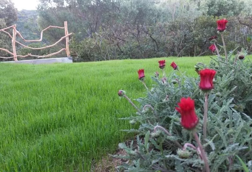 ベッドアンドブレックファースト Suite Cucinino, Bagno, Ingresso Indipendente In Villa Vìvì