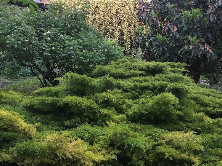 ベッドアンドブレックファースト Villa Il Palazzo