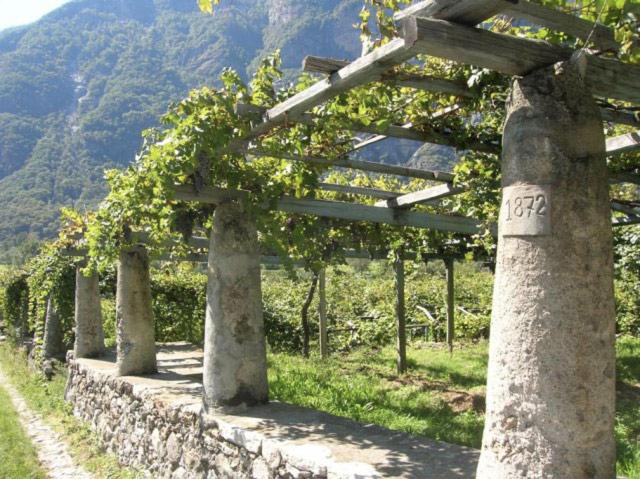 پانسیون Asd Sport E Giovani