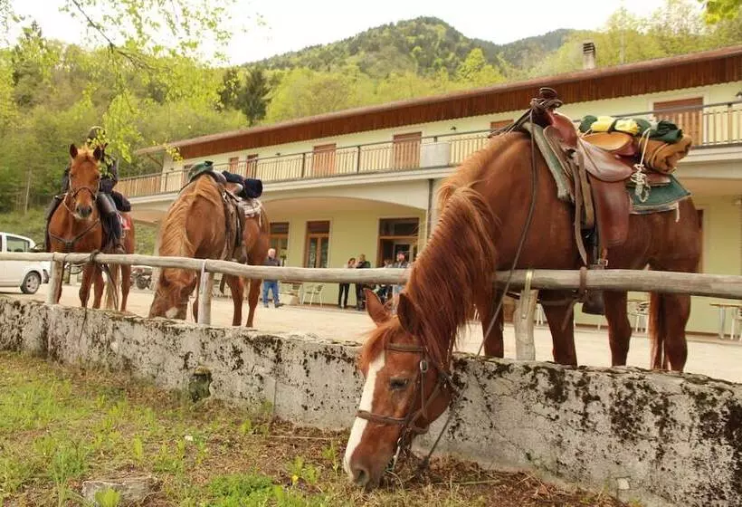 Damarco Alloggio Turistico Locanda