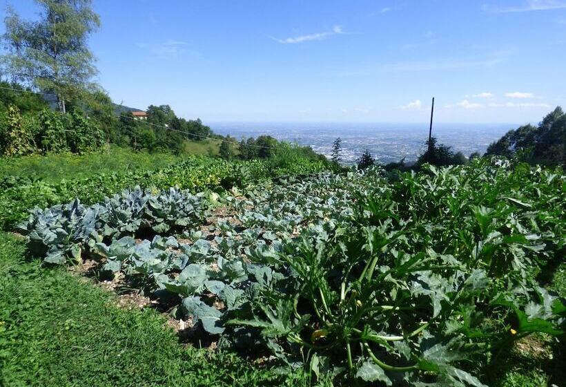 Damarco Alloggio Turistico Locanda