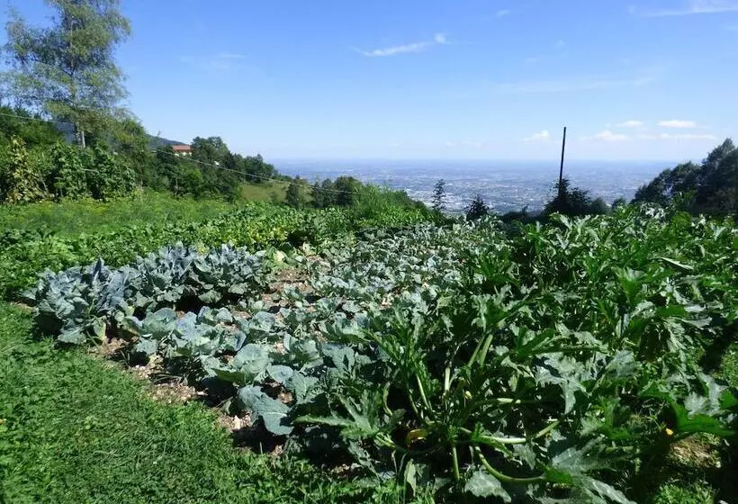 Damarco Alloggio Turistico Locanda
