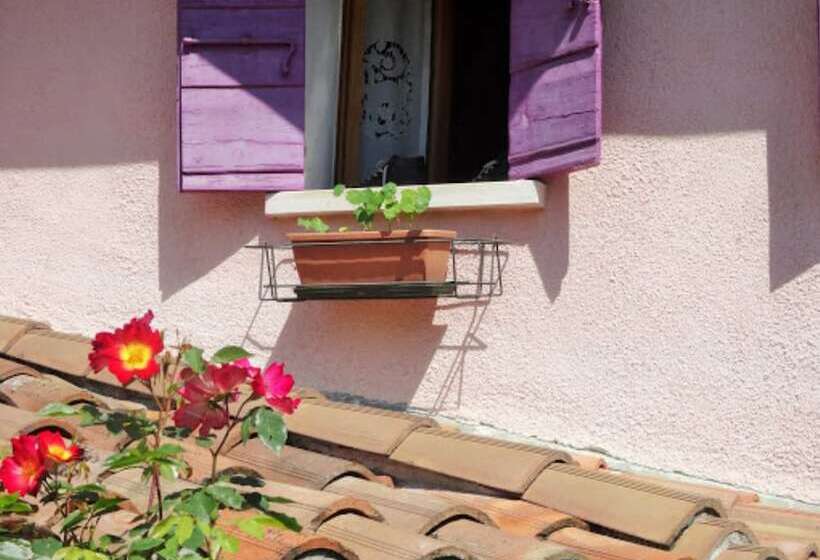 Mi Casa Tu Casa Bed & Breakfast