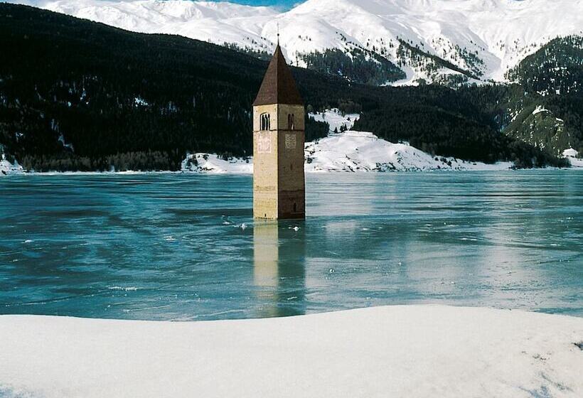 Общежитие Alpenrose