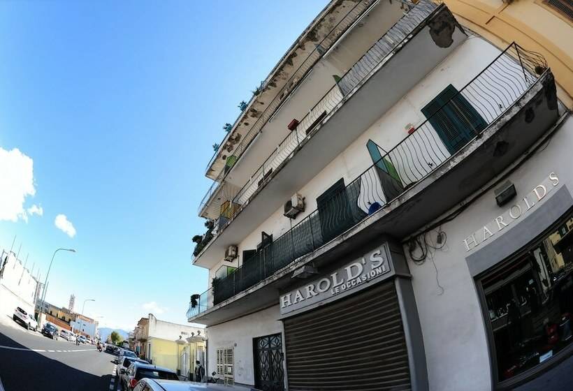 پانسیون The Last Floor