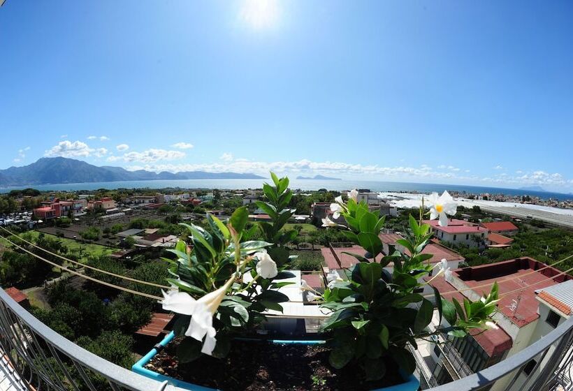 پانسیون The Last Floor