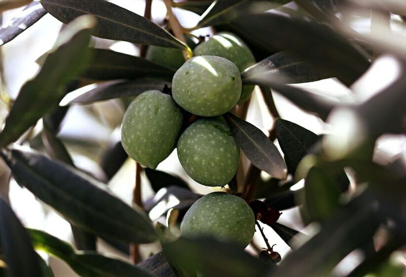 בית מלון כפרי Agriturismo Carbona