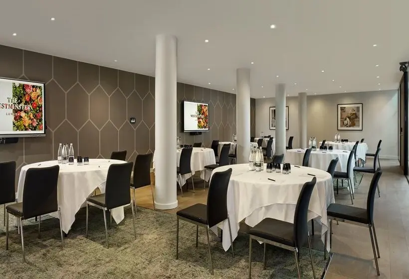 هتل Riu Plaza London The Westminster