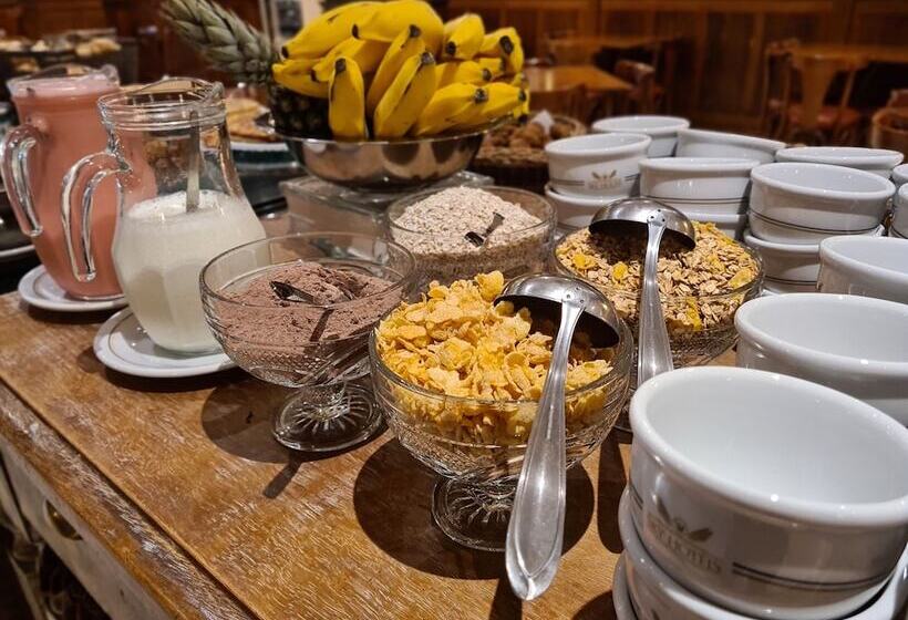 Sky Borges Hotel Alpenhaus   Gramado