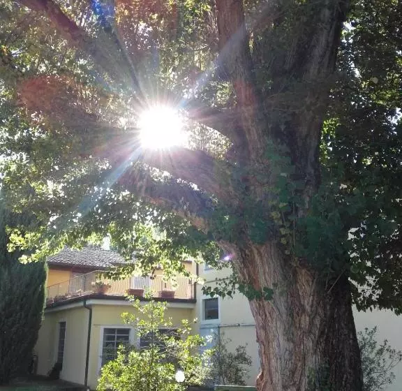 Agriturismo Il Mulino Del Vescovo