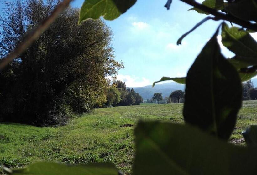 Agriturismo Il Mulino Del Vescovo