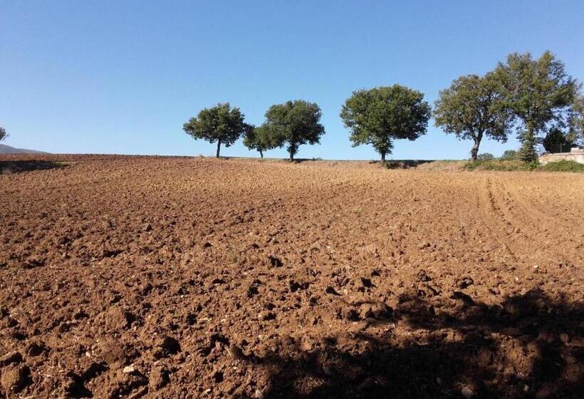 Agriturismo Il Mulino Del Vescovo