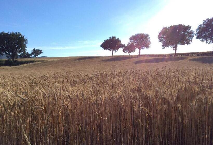 Agriturismo Il Mulino Del Vescovo