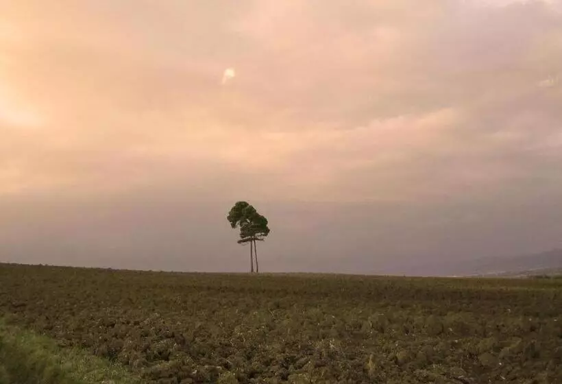 Agriturismo Il Mulino Del Vescovo
