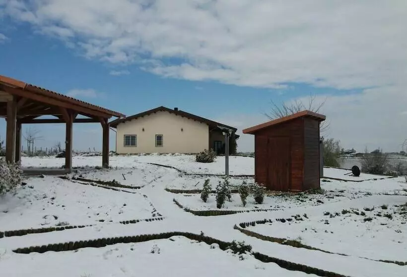 ベッドアンドブレックファースト La Collina Delle Fonti