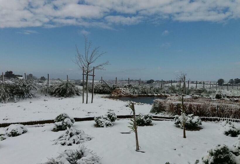 مبيت وإفطار La Collina Delle Fonti