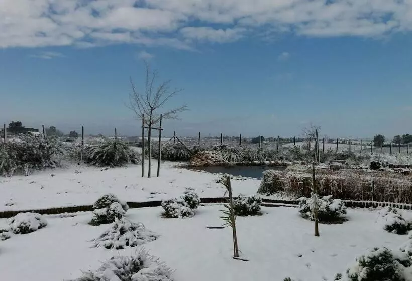 ベッドアンドブレックファースト La Collina Delle Fonti