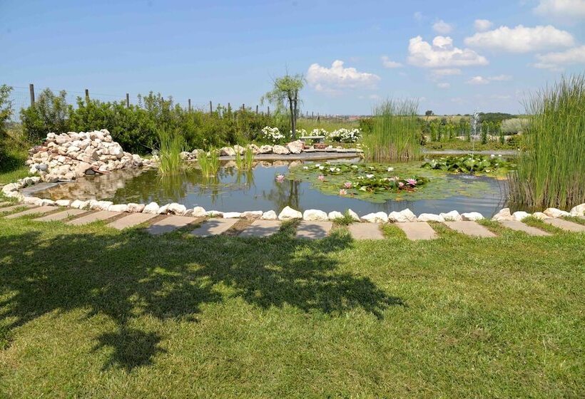 مبيت وإفطار La Collina Delle Fonti