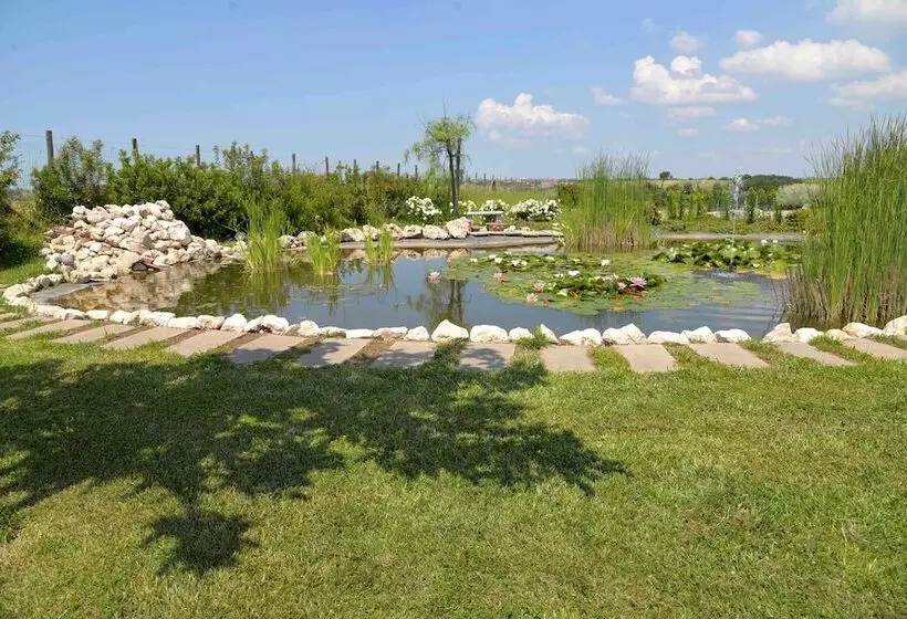 ベッドアンドブレックファースト La Collina Delle Fonti