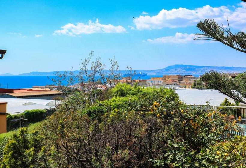 تختخواب و صبحانه Scognamiglio Suites