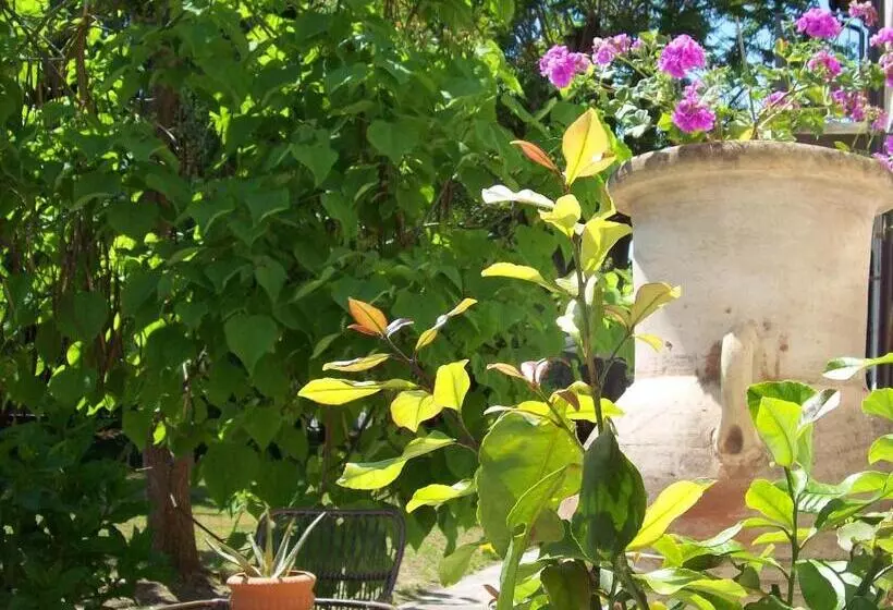 ベッドアンドブレックファースト Bed & Tours Dimora Di Campagna