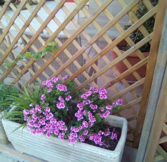 B&b Casa Te La Bradamante