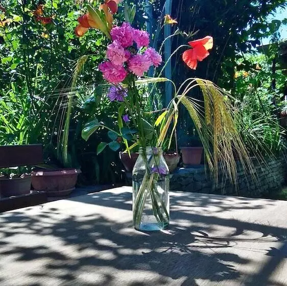 Aamiaismajoitus (B&B) Il Germano Reale