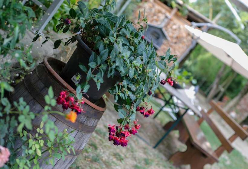 Bed and Breakfast Il Germano Reale