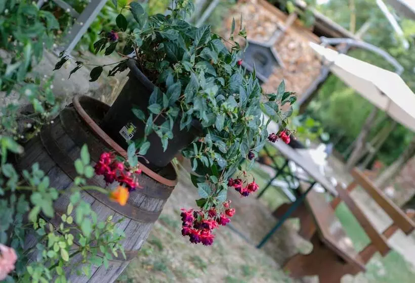 Aamiaismajoitus (B&B) Il Germano Reale