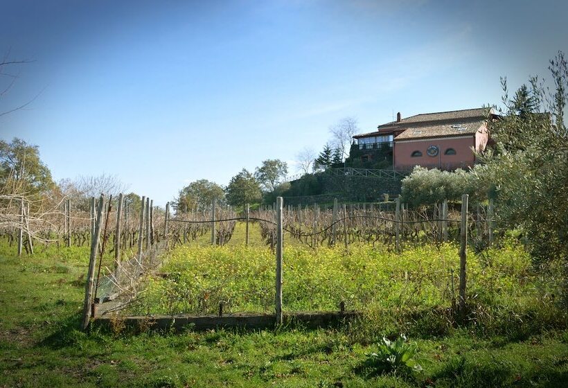 בית מלון כפרי Agriturismo Kikajon