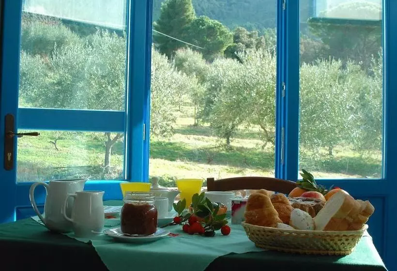 Aamiaismajoitus (B&B) Villa Sos Pisches