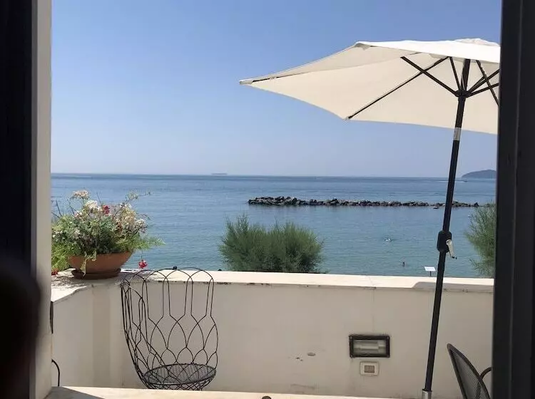 مسافرخانه Villa Shelley Boutique