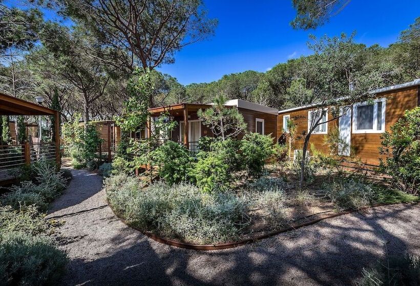 هتل Camping Internazionale Etruria