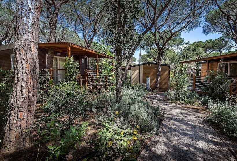 هتل Camping Internazionale Etruria