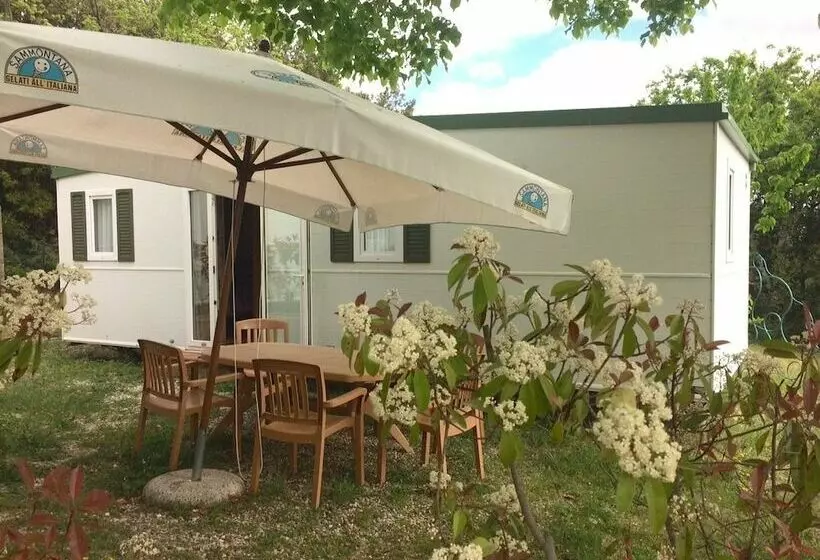 ホテル Camping Le Soline