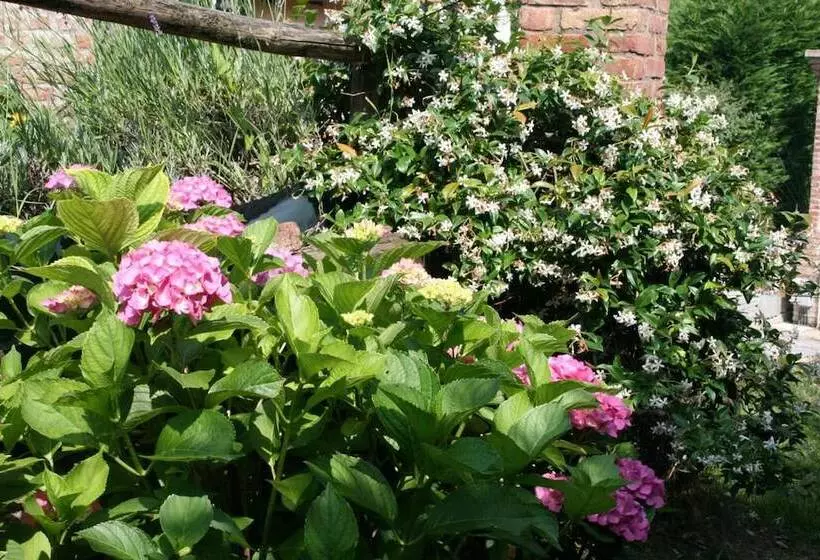 Majatalo Villa Bricco Dei Cogni