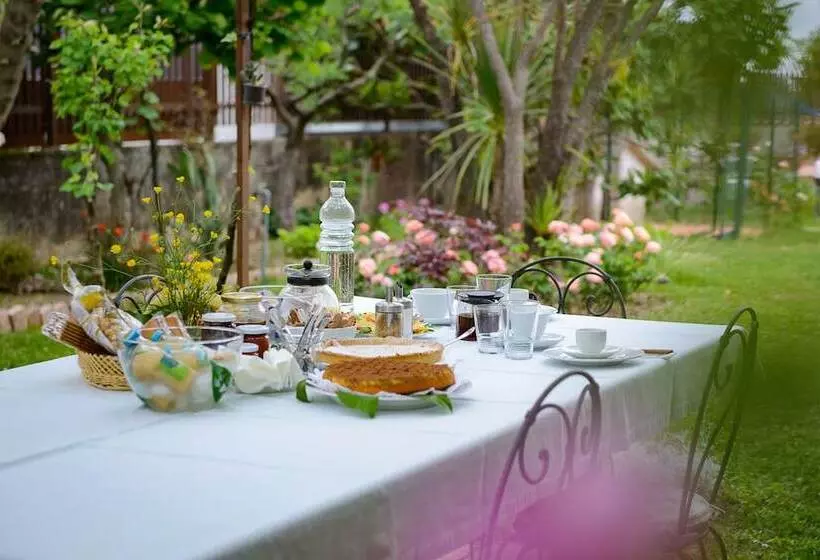 B&b Li Fringi