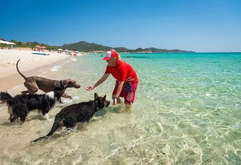 Hotelli Tiliguerta Glamping & Camping Village