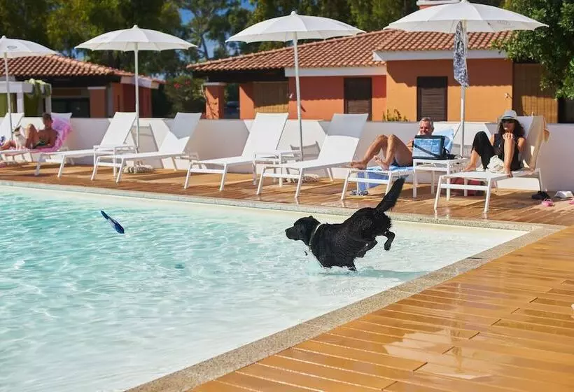 Hotelli Tiliguerta Glamping & Camping Village